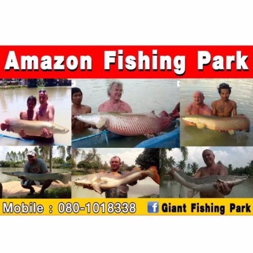 Amazon Fishing Park