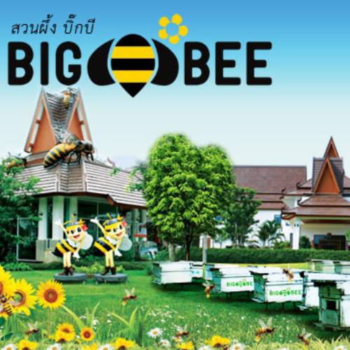 Big Bee Farm