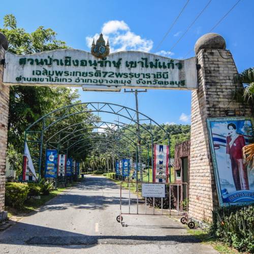 Khao Mai Kaeo Mountain Bike Trails