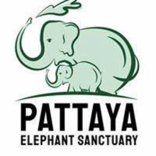 Pattaya Elephant Sanctuary