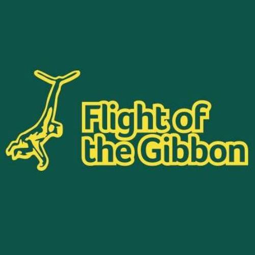 Flight of the Gibbon