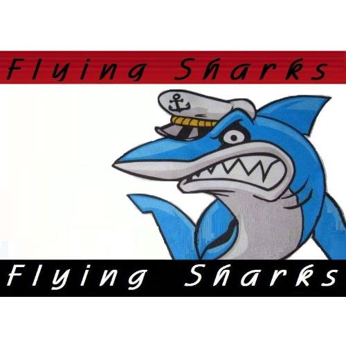 Flying Sharks Bike Fitting Systems