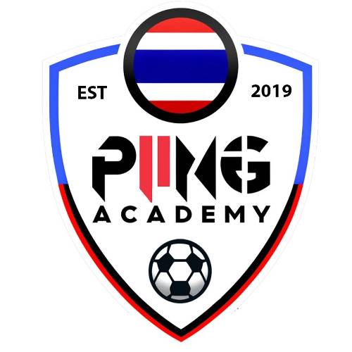 Piing Academy