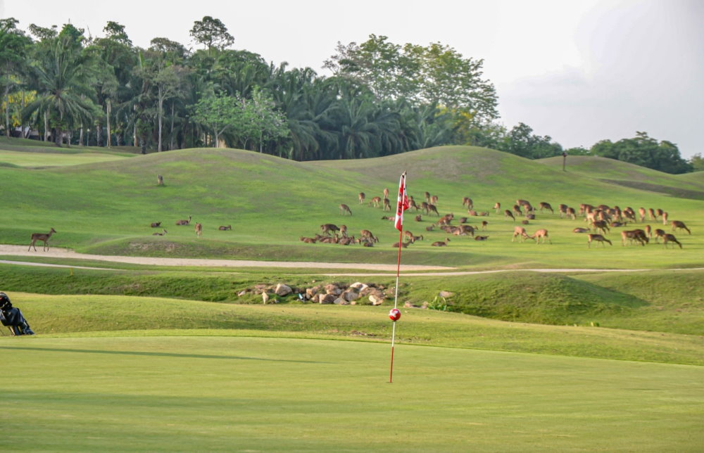 Wangjuntr Golf Park