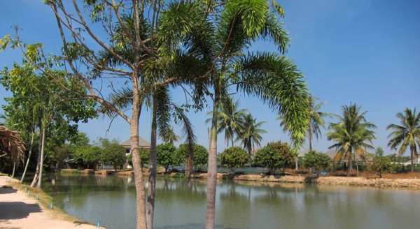 Amazon Fishing Park