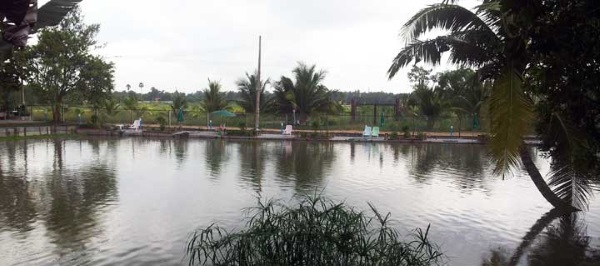 Castaway Fishing Park