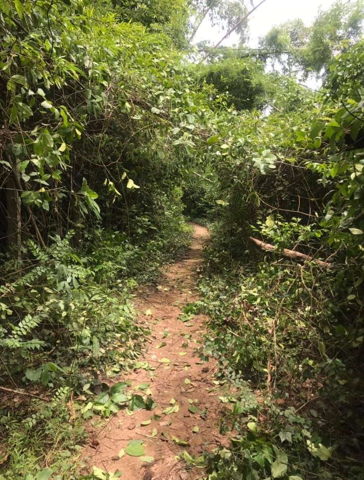 Khao Mai Kaeo Mountain Bike Trails