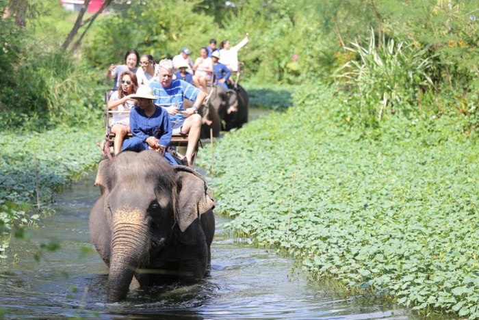 Pattaya Elephant Village