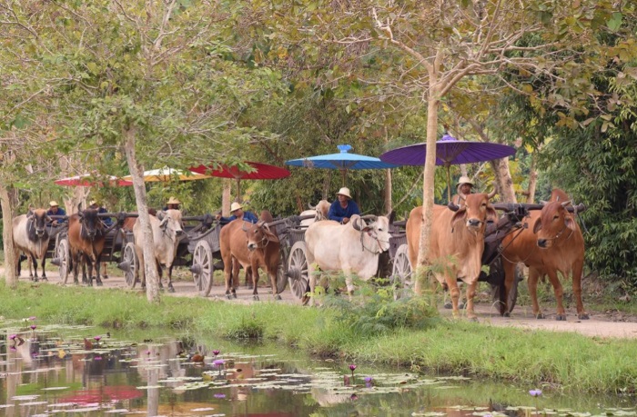 Pattaya Elephant Village