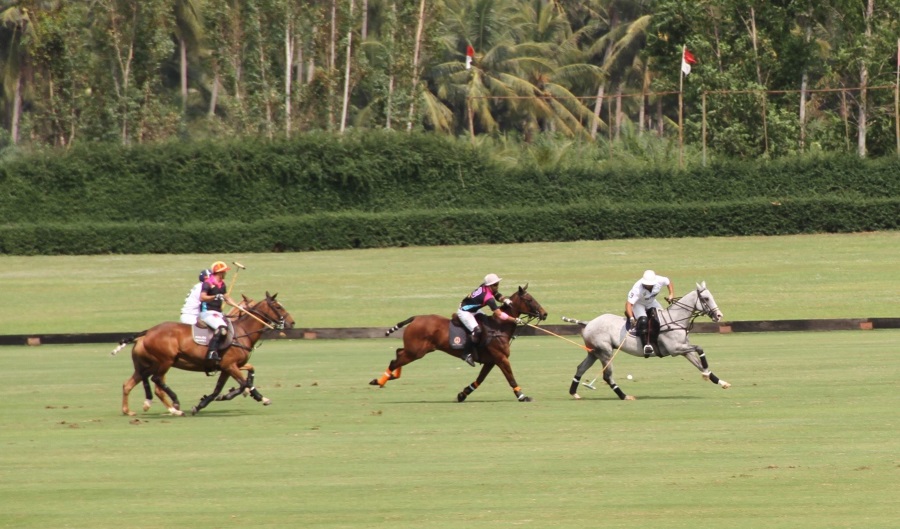 Polo Escape Thailand Horse Farm