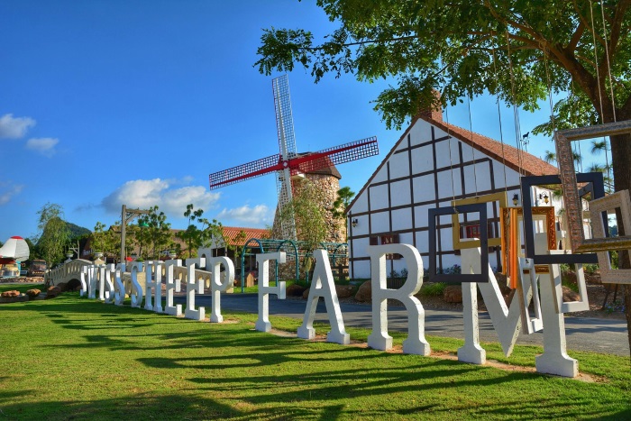 Swiss Sheep Farm Pattaya