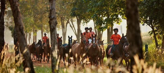 Thai Polo & Equestrian Club