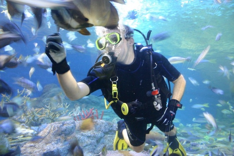 Underwater World Pattaya