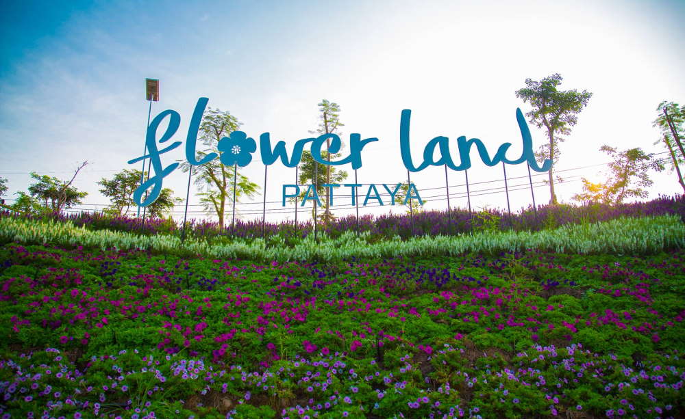 FlowerLand Pattaya