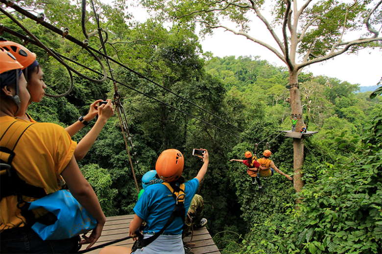 Flight of the Gibbon