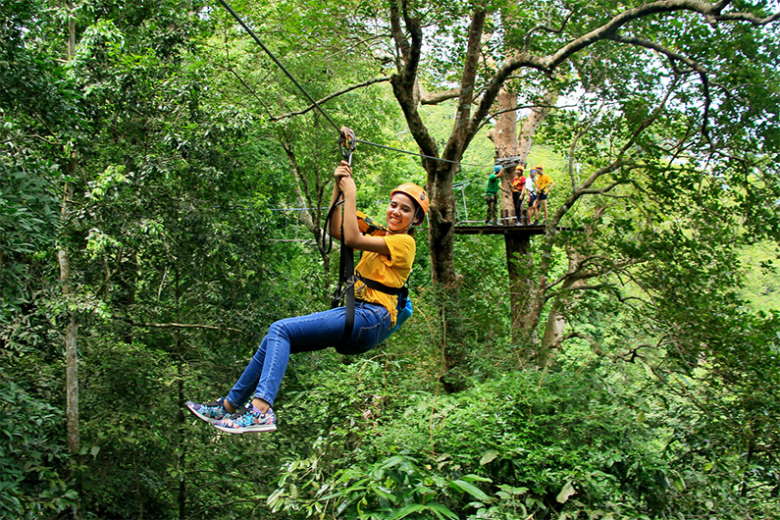 Flight of the Gibbon