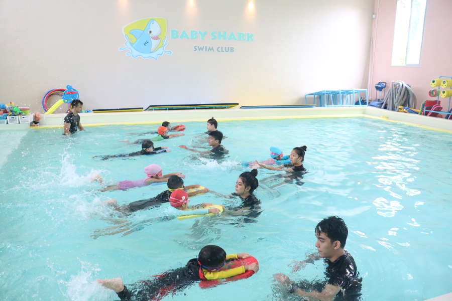 Baby Shark Swim Club