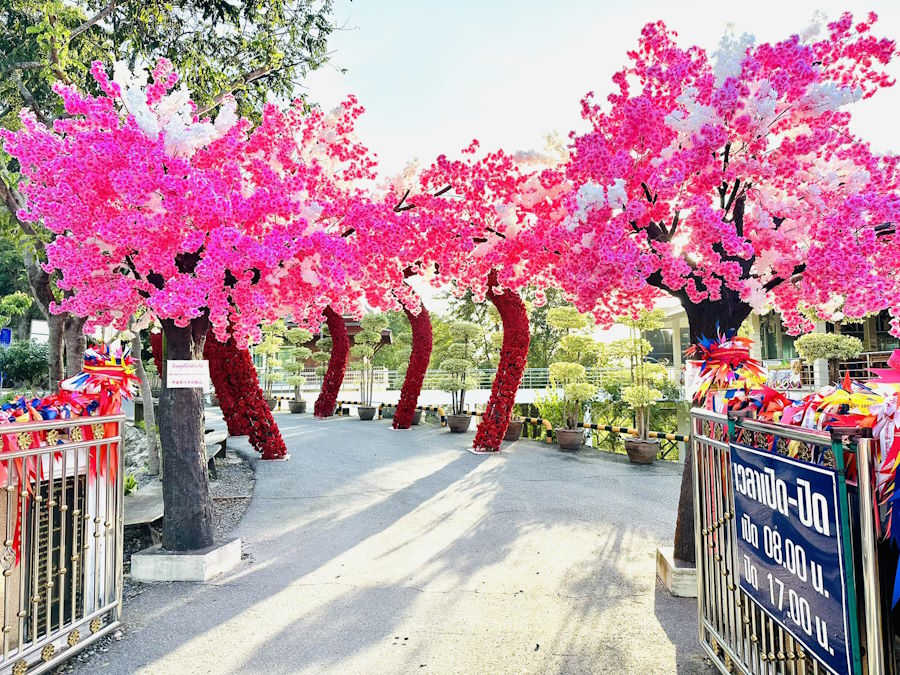 Skywalk - Wat Khao Tabaek