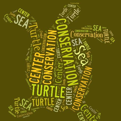 Royal Thai Navy Sea Turtle Conservation Center
