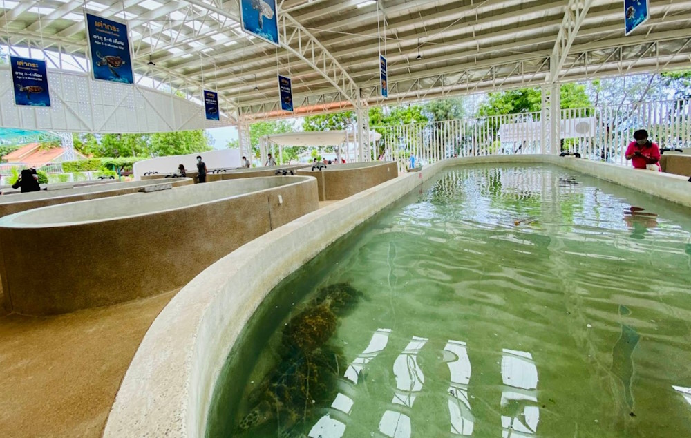 Royal Thai Navy Sea Turtle Conservation Center