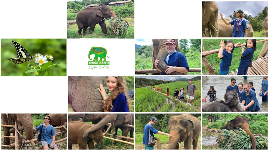 Living Green Elephant Sanctuary