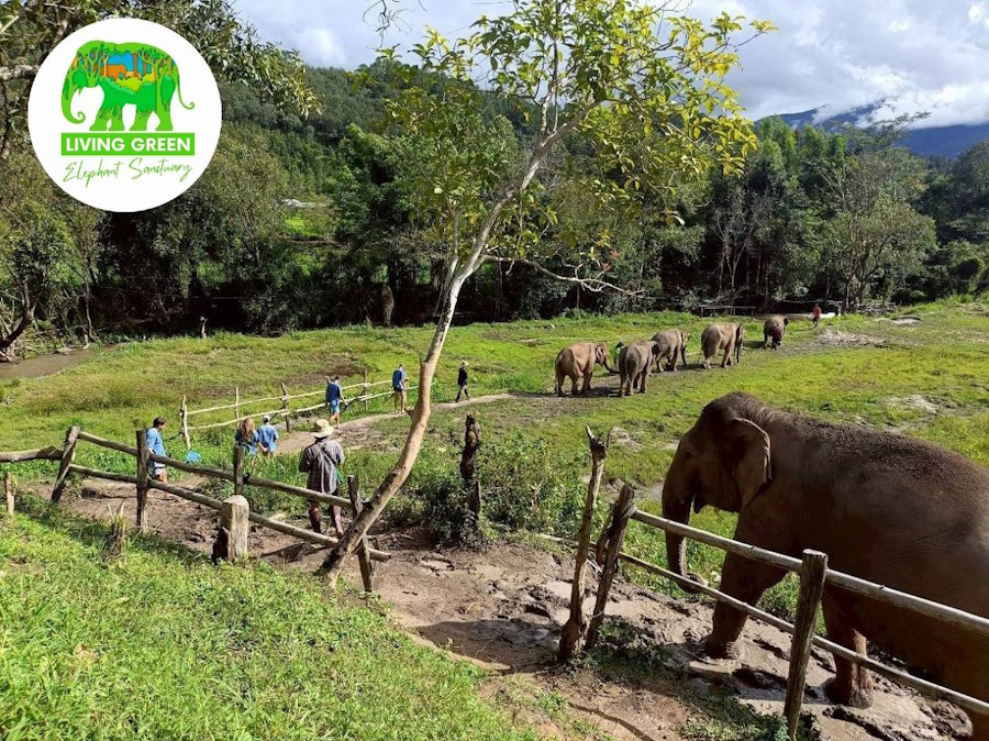 Living Green Elephant Sanctuary
