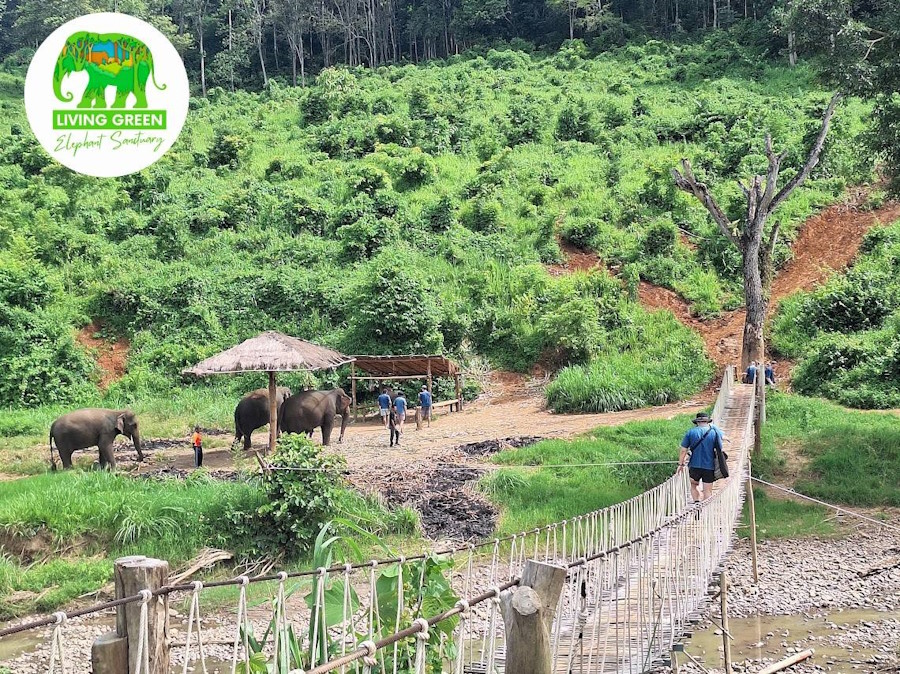 Living Green Elephant Sanctuary